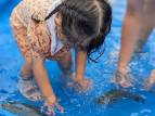 暑い夏にぴったりの魚のつかみ取り！
