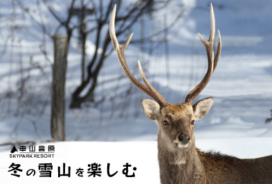 車山高原観光協会 冬の山 スノーシュー・スキー・長野県茅野市